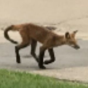 Meet your Posher, John